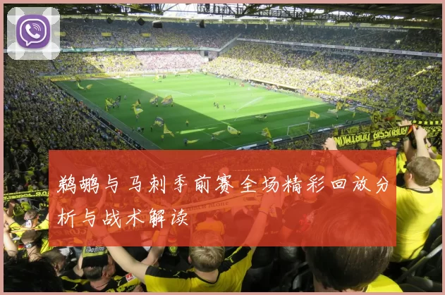 鹈鹕与马刺季前赛全场精彩回放分析与战术解读